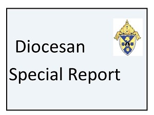 Diocesanspecialreport