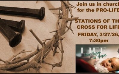 The Stations of the Cross for Life