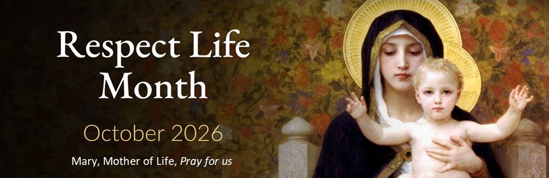 Mary Mother of Life banner 10-26